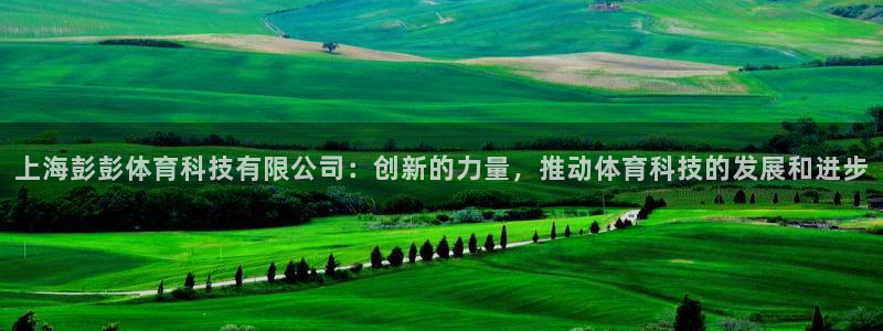 上海彭彭体育科技有限公司：创新的力量，推动体育科技的发展和进步