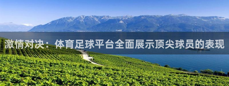 激情对决：体育足球平台全面展示顶尖球员的表现
