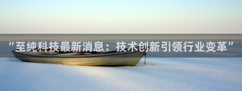 “至纯科技最新消息：技术创新引领行业变革”