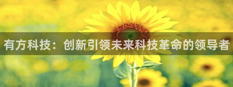 有方科技：创新引领未来科技革命的领导者