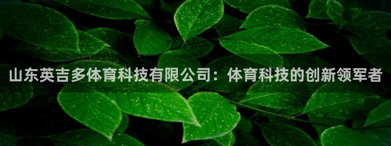 山东英吉多体育科技有限公司：体育科技的创新领军者