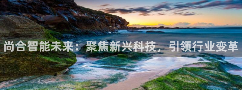 尚合智能未来：聚焦新兴科技，引领行业变革