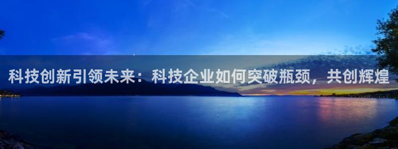 科技创新引领未来：科技企业如何突破瓶颈，共创辉煌