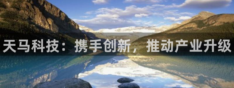 天马科技：携手创新，推动产业升级
