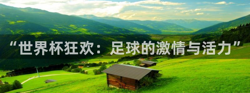 “世界杯狂欢：足球的激情与活力”